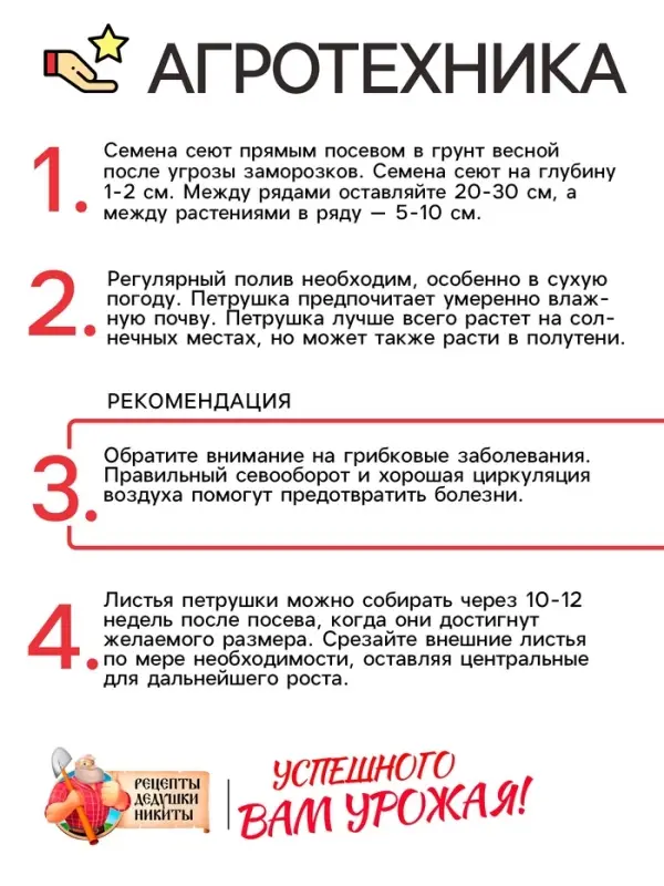 Семена Петрушка "Итальянский богатырь", 1 г