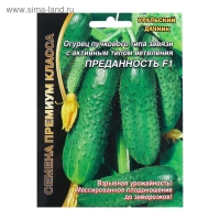 Семена Огурец "Преданность" F1 пучкового типа завязи, партенокарпический, 7 шт