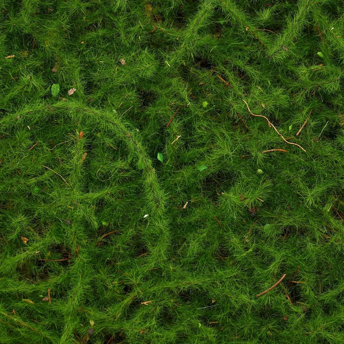 Декоративная панель, 90 &times; 40 см, &laquo;Мох&raquo;, Greengo