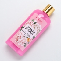 Гель для душа ЧИСТОЕ СЧАСТЬЕ &laquo;Самой нежной&raquo;, 250 мл, аромат воздушного шоколада