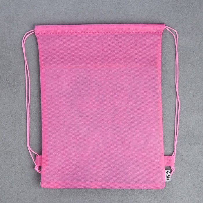 Мешок для обуви &laquo;Школьницы&raquo; полиэстер, размер 30 х 40 см