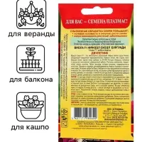 Семена Виола "Фриззл Сиззл", бургунди, F1, 5 шт