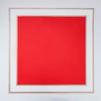 Пленка флористическая, красная, 58&times;58 см, 50 мкм