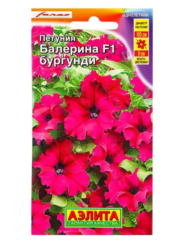 Семена цветов Петуния Балерина бургунди крупноцветковая F1  (драже) С. Farao, Ц/П,7 шт.