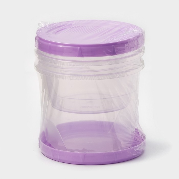 Набор банок для хранения продуктов с крышкой &laquo;Фиджи&raquo;, 2 шт: 0,7 л, 1 л