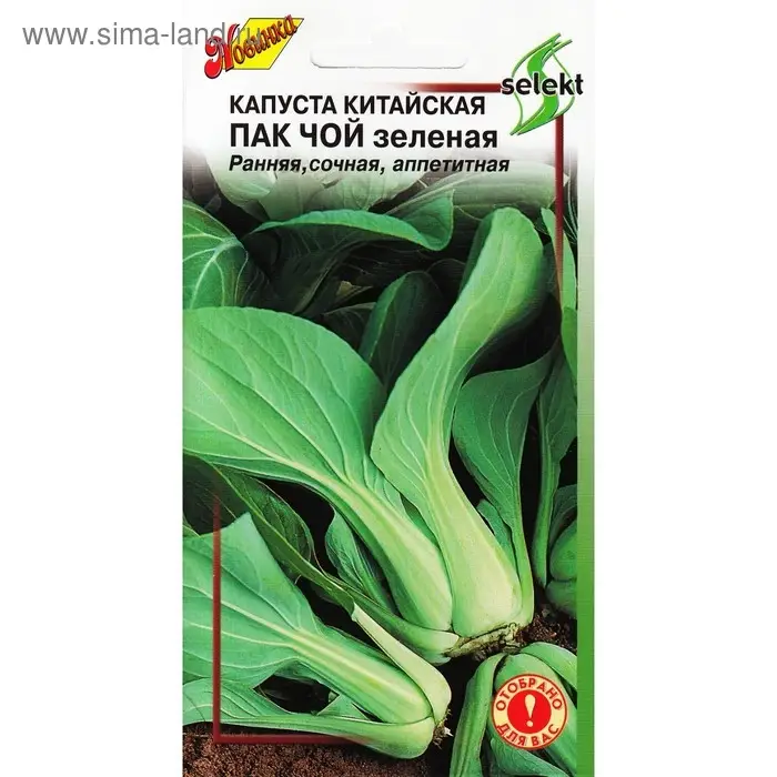 Семена Капуста китайская "Пак Чой",  80 шт.