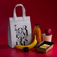 Термосумка &laquo;Термобэг&raquo; на заказ, M