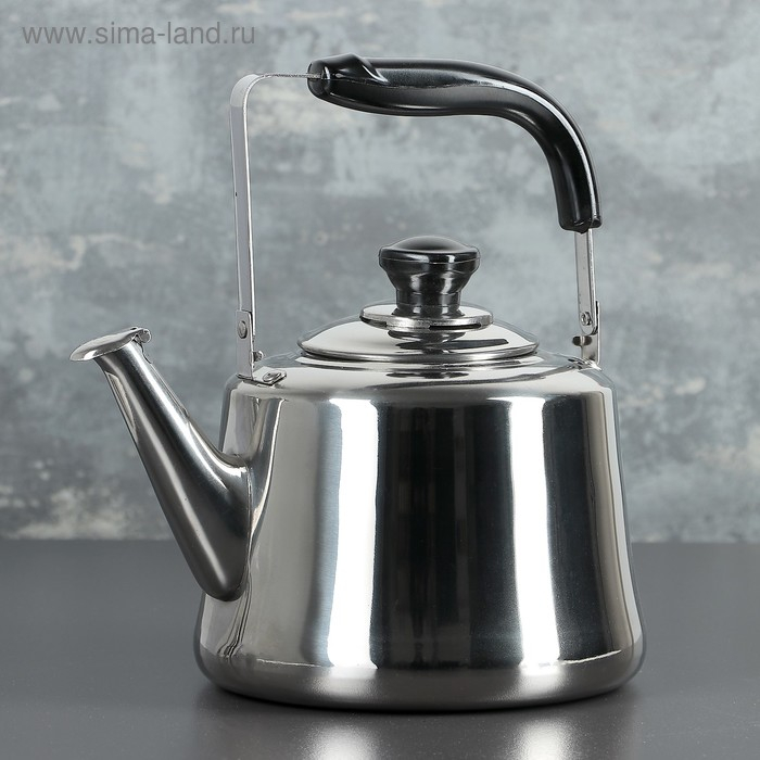 Чайник из нержавеющей стали &laquo;Чайковский&raquo;, 3 л, цвет хромированный