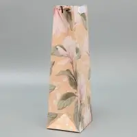 Пакет подарочный под бутылку, упаковка, &laquo;Воспитателю&raquo;, 35 х 13 х 10 см