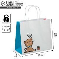 Пакет подарочный крафтовый, упаковка, &laquo;Котик&raquo;, 25 х 22 х 12 см