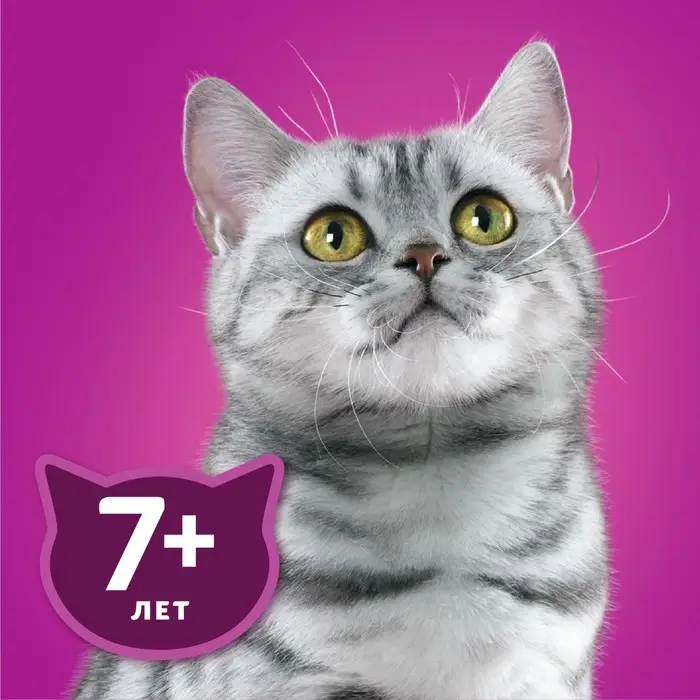 Влажный корм Whiskas для кошек 7+ рагу с курицей, 75 г