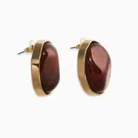 Серьги акрил "Круг", цвет коричнево-прозрачный в золоте