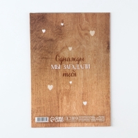 Папка для свидетельства о рождении "Мама и малыш", медведи, 23 х 17 см