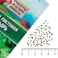 Семена петрушка листовая &laquo;Богатырь&raquo;, 2 г