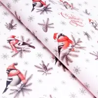 Бумага упаковочная &laquo;Снегири&raquo;, глянец, двусторонняя, 80 г/м&sup2; , 70&times;100 см