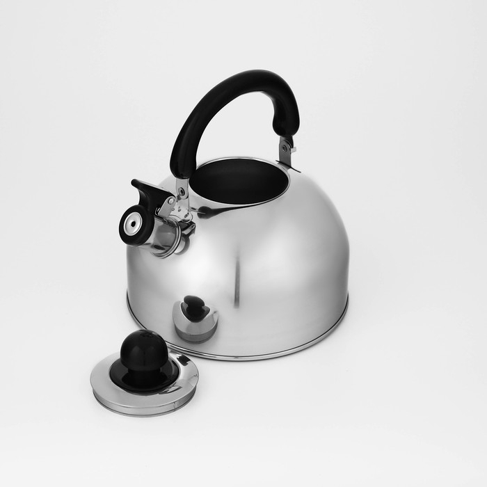 Чайник со свистком из нержавеющей стали Доляна &laquo;Чёрная ночь&raquo;, 3 л, фиксированная ручка, цвет хромированный