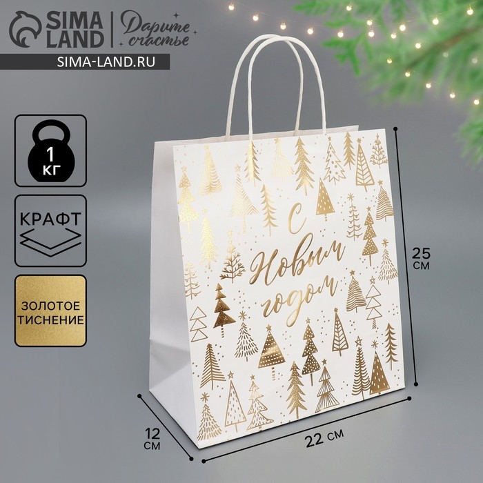 Пакет подарочный новогодний крафтовый &laquo;Новогодняя пора&raquo;, 22 х 25 х 12 см, Новый год