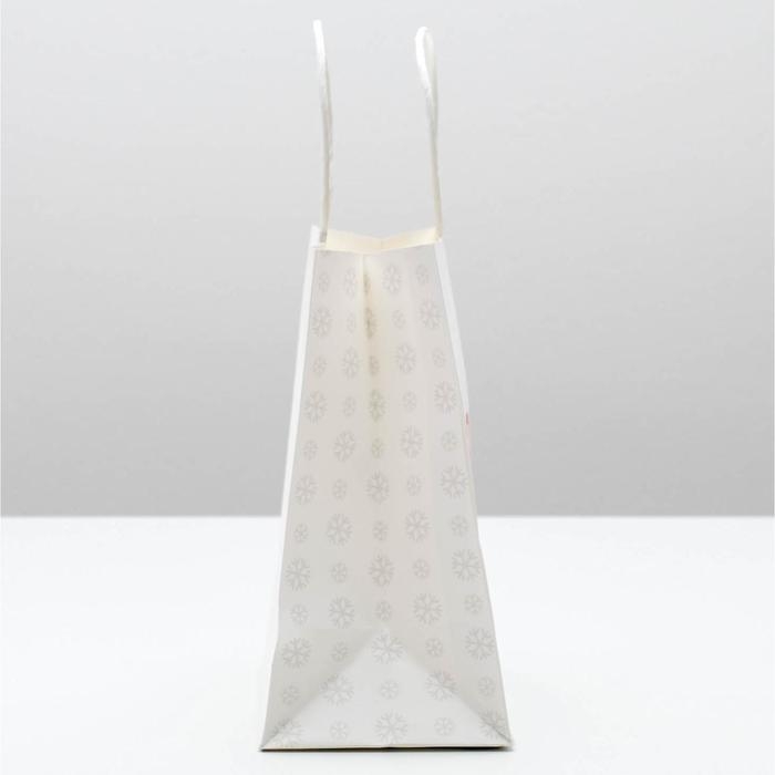 Пакет подарочный новогодний &laquo;Год новый, а ты старый&raquo;, 22 х 22 х 11 см, Новый год