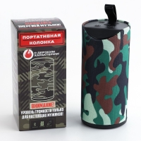 Портативная колонка &laquo;Сильному&raquo;, мод. PS-02