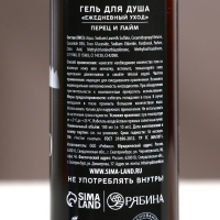 Новый Год. Гель для душа &laquo;Удачного года!&raquo;, 100 мл, аромат перца и лайма