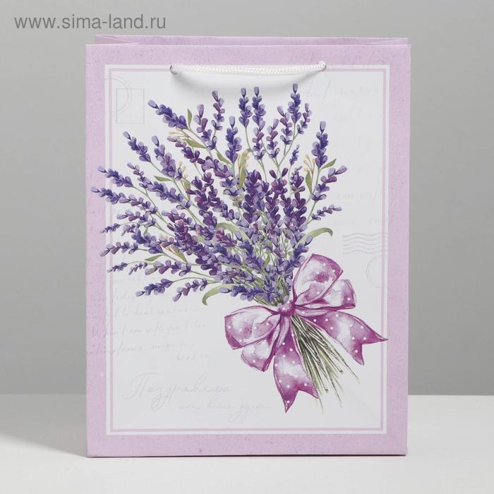 Пакет подарочный ламинированный вертикальный, упаковка, &laquo;Букет&raquo;, MS 18 х 23 х 8 см