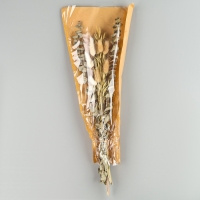 Сухоцветы &laquo;Мечта&raquo;, набор из 4 видов, 48 &times; 16 &times; 6 см