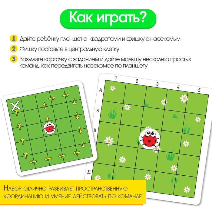 Нейропсихологическая игра &laquo;Где муха?&raquo;