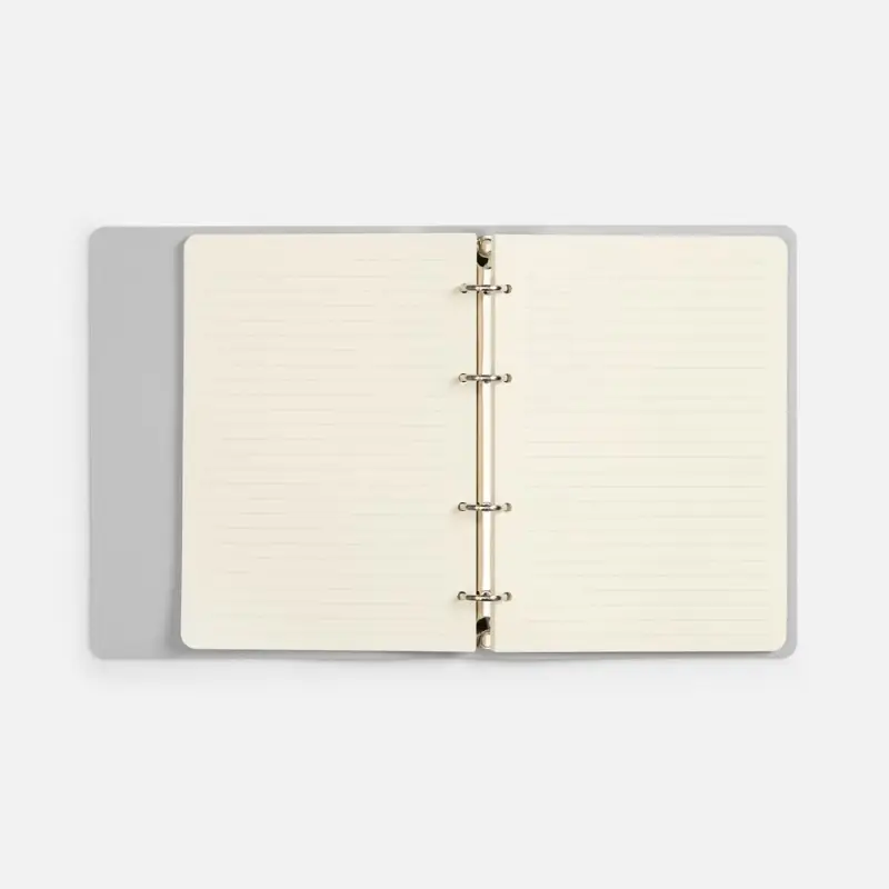 Ежедневник Ringo, недатированный, серебристый