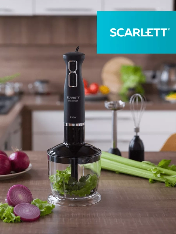 Погружной блендер SC-HB42F39