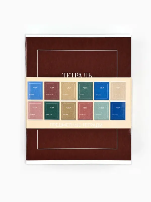 Тетради предметные, 48 л., набор из 12 шт., блок №1 &laquo;Минимализм&raquo;