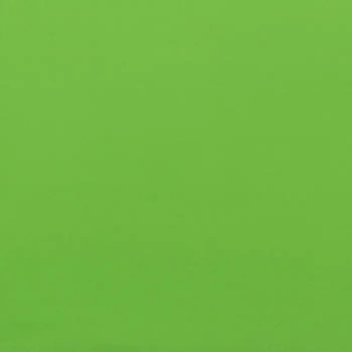 Пленка двухсторонняя для цветов и декора, 0.57&times;0.57 см, зелёный