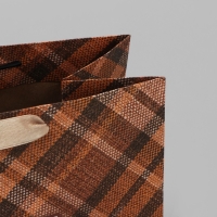 Пакет подарочный крафтовый вертикальный, упаковка, &laquo;Поздравляю от всей души!&raquo;, ML 23 х 27 х 11,5 см