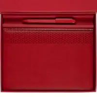 Набор Prizma, красный