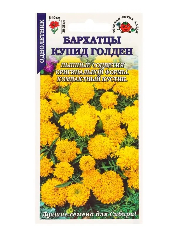 Семена Бархатцы Купид Голден /Сотка/ 0,1г/ прям. 35см, d-10см/*1500