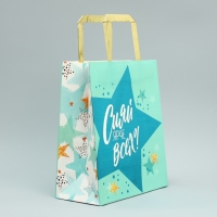 Упаковка, пакет подарочный, &laquo;Сияй&raquo;, ML 23 х 27 х 11.5 см