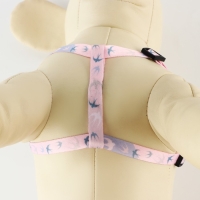 Комплект &laquo;Ласточки&raquo;, шлейка 24-36 см, поводок 120х1 см