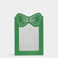 Пакет подарочный с окном &laquo;Бант&raquo;, 19&times;26&times;13 см, зеленый