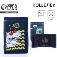 Кошелёк &laquo;Динозавры&raquo; на липучке