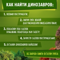 Набор для раскопок &laquo;Эпоха динозавров&raquo;