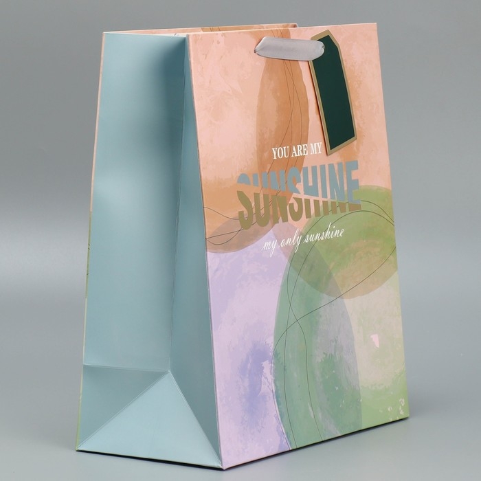 Пакет подарочный ламинированный, упаковка, &laquo;Солнце моё&raquo;, 25.4 х 30.5 х 12.7 см