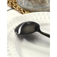 Ложка столовая из нержавеющей стали Magistro &laquo;Фолк&raquo;, длина 21 см, цвет чёрный