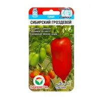 Семена Томат &laquo;Сибирский гроздевой&raquo;, среднеспелый, 20 шт., &laquo;Сибирский сад&raquo;