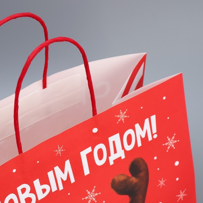 Пакет подарочный новогодний крафтовый &laquo;Олень ты&raquo;, 28 х 32 х 15 см