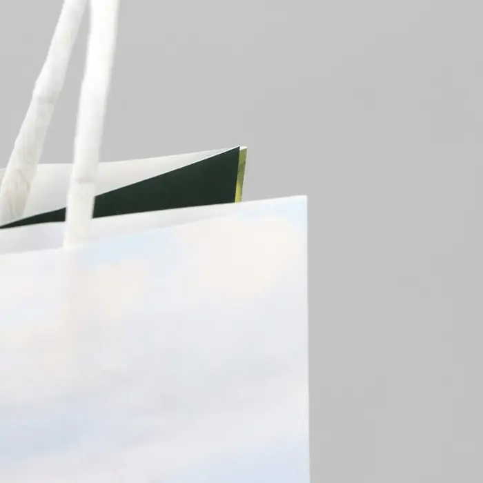 Пакет подарочный под бутылку, упаковка, &laquo;Вино&raquo;, белый крафт, 13 х 36 х 10 см