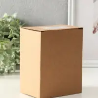 Сувенир полистоун "Белая лягушка" 6х13,5х11,5 см