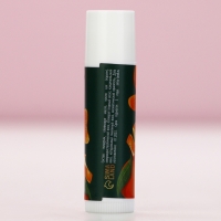 Бальзам для губ, 10 г, аромат мандарина, Новый Год