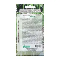 Семена цветов Джункус развесистый "Спираль", 5 шт