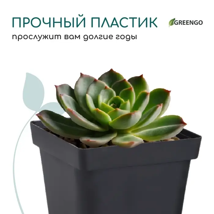 Горшок для рассады, 700 мл, d=10 см, h=12.5 см, пластик, чёрный, Greengo