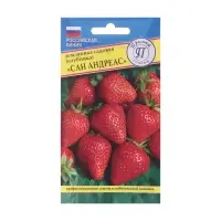Семена Земляника рем крупн "Сан Андреасс", 0,01 гр
