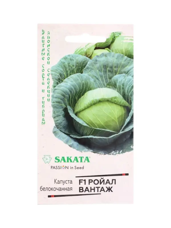 Семена Капуста белокоч. Ройал Вантаж F1 10 шт. ранняя (Саката)